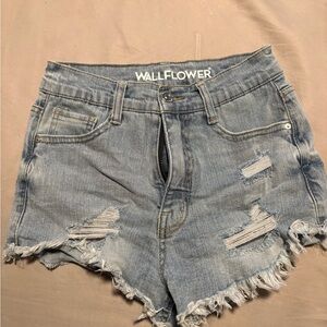 Wallflower Women's Light Blue Distressed Jean Shorts